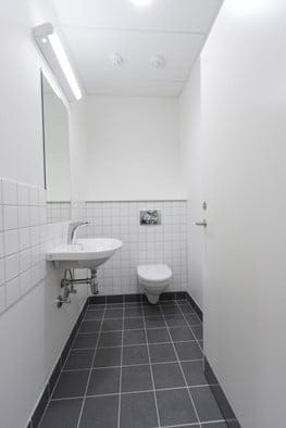 Lille moderne badeværelse med håndvask og toilet